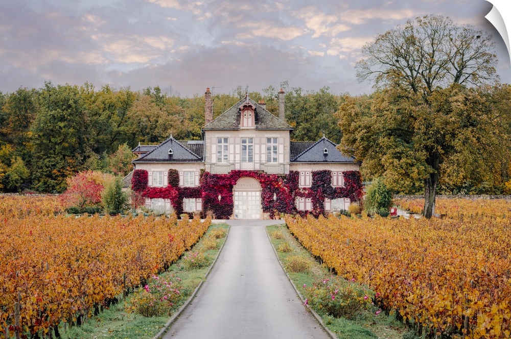 Bourgogne wine region (Burgundy), France, Europe. Autumn landscape, vineyards and luxury house.