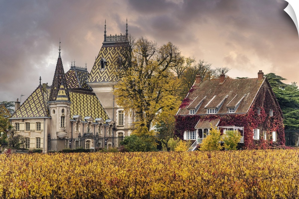 Bourgogne wine region (Burgundy), France, Europe. Autumn landscape, vineyards luxury houses and castle