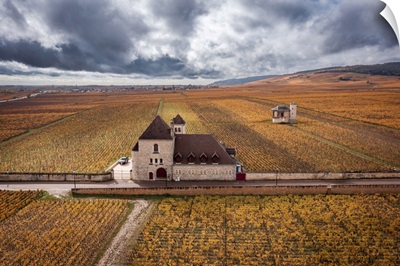 Autumn Landscape With Vineyards And Castle, Burgundy, France, Europe