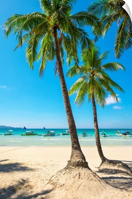 Boats And Palm Trees On White Beach, Boracay Island, Western Visayas, Philippines