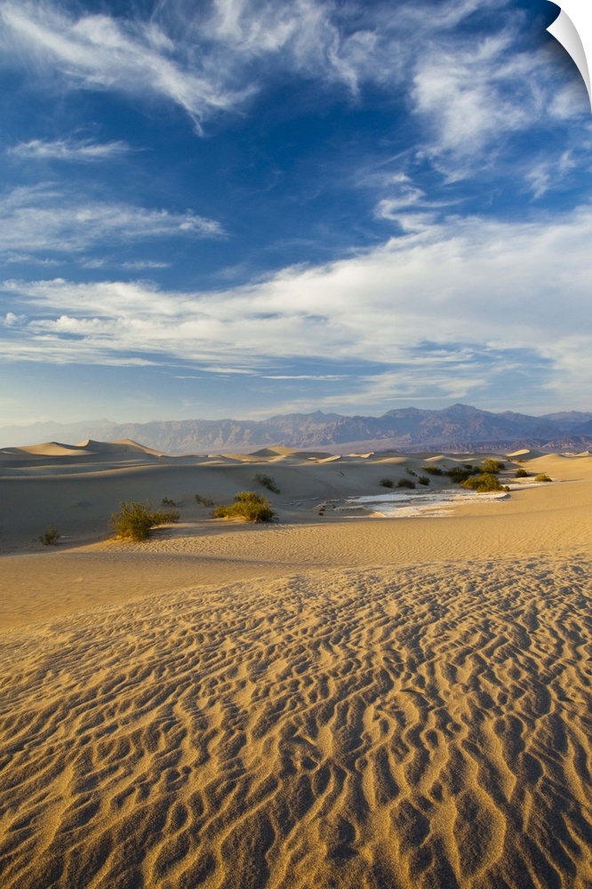USA, California, Death Valley National Park, Mesquite Flat Sand Dunes, late afternoon