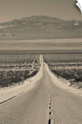 California, Mojave Desert, Amboy Road