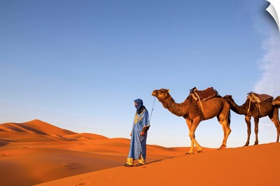 Camel Driver, Sahara Desert, Merzouga, Morocco