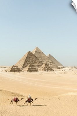 Camel Train At The Pyramids Of Giza, Giza, Cairo, Egypt