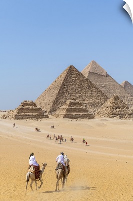 Camels Train At The Pyramids Of Giza, Giza, Cairo, Egypt
