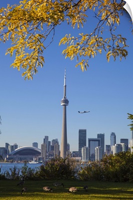 Canada, Ontario, Toronto, View of CN Tower and city skyline from Center Island