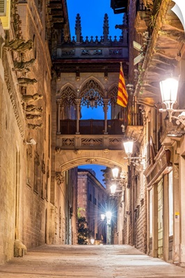 Carrer Del Bisbe Street, Gothic Quarter, Barcelona, Catalonia, Spain