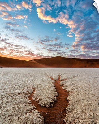 Carved Tree-Like Shape In Deadvlei Clay Pan, Namib-Naukluft National Park, Africa