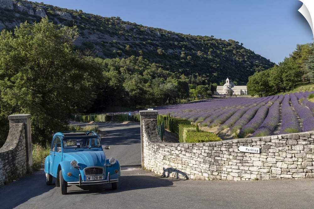 France, Provence-Alpes-Cote d'Azur, Gordes, Citroen 2CV  in front of Senanque abbey (abbaie de Senanque) & field of lavender