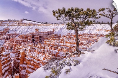 Colorado Plateau,Utah,Bryce Canyon, National Park