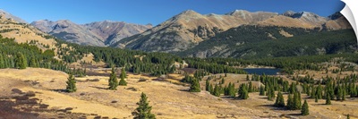 Colorado, San Juan Mountains, San Juan National Forest, Molas Pass