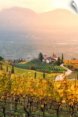 Cortaccia On The Wine Route-Europe, Italy, Trentino Alto Adige, Bolzano Province