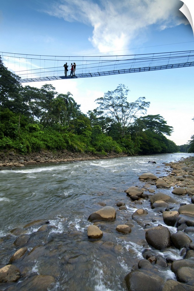 Costa Rica, La Virgen de Sarapiqui, Suspension Bridge, Sarapiqui River, White Water Rafting, Guide And Tourists, Tirimbina...