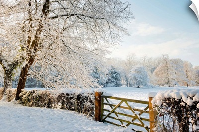 Country Gate In Winter, Norfolk, England