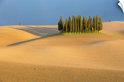 Cypress Trees In Val d'Orcia, Plowed Field And Stormy Weather. Tuscany, Italy