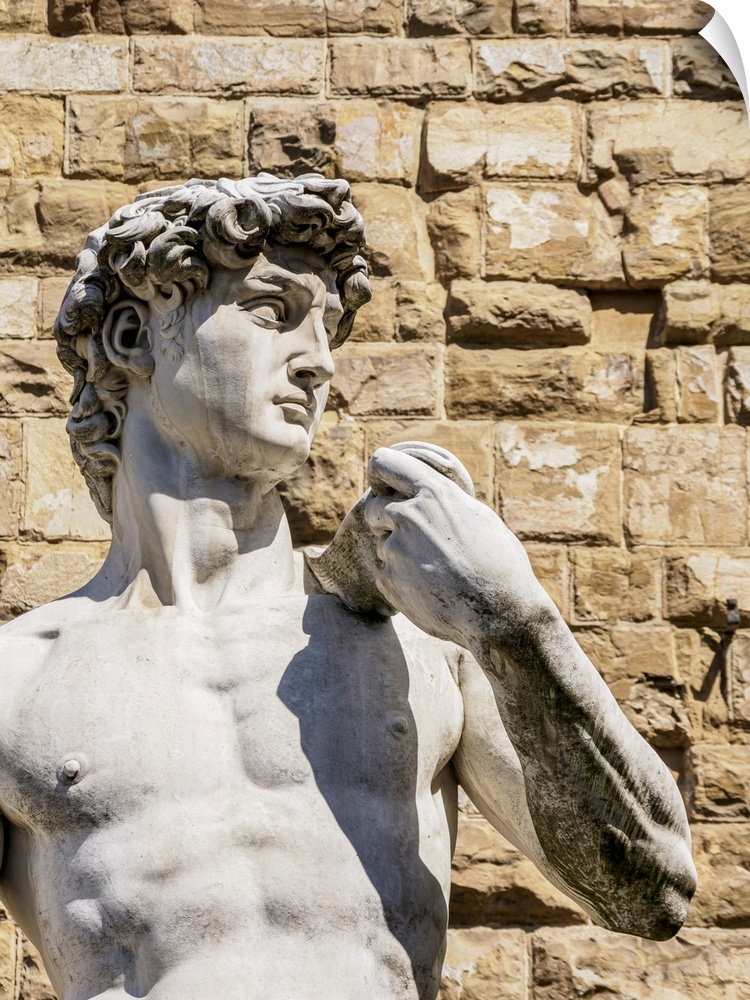 David Statue, Piazza della Signoria, Florence, Tuscany, Italy.