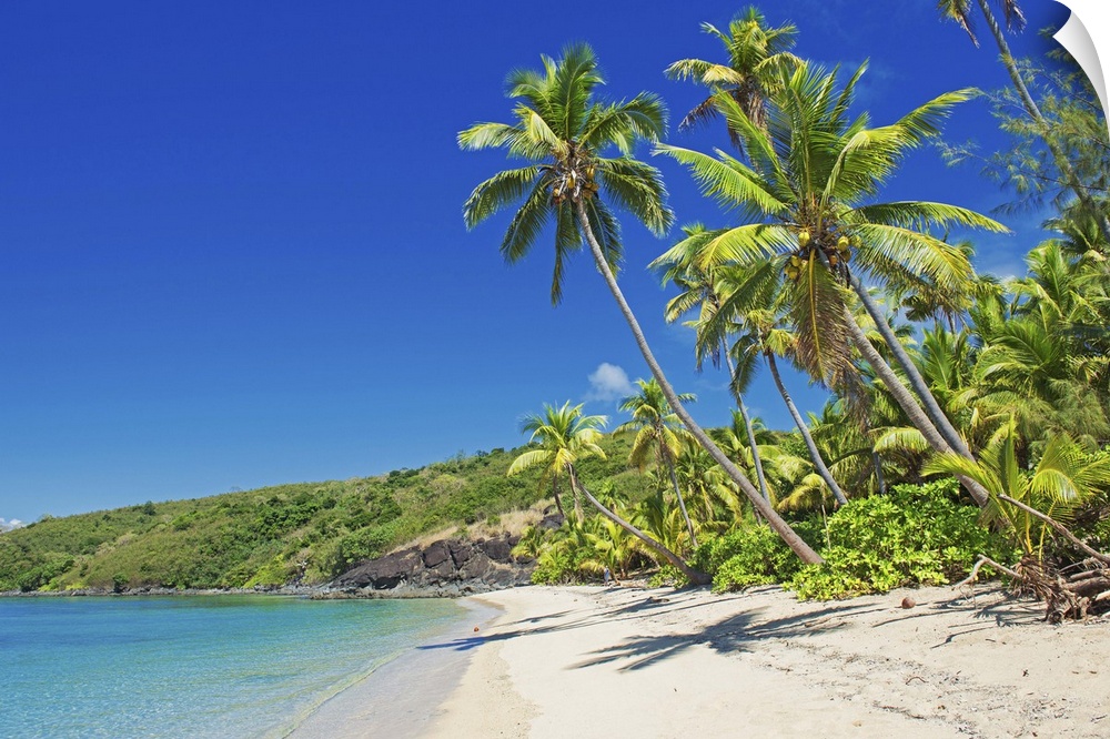 Tropical beach, Drawaqa Island, Yasawa island group, Fiji, South Pacific islands, Pacific