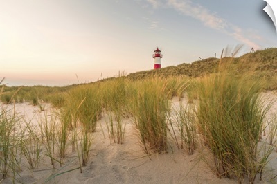 Dune Landscape At The List-Ost Lighthouse On The Ellenbogen Peninsula, Germany