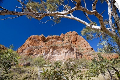 Echidna Chasm, Bungle Bungle National Park, Kimberley, Western Australia, Australia