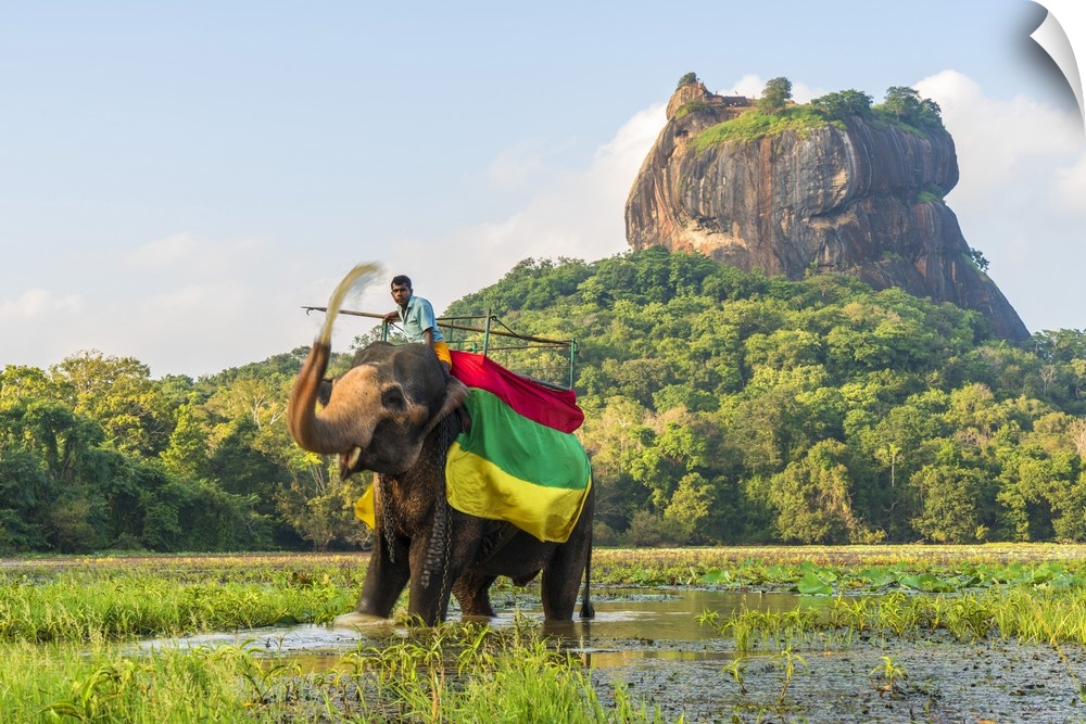 Elephant ride with Lion Rock, Ancient Rock Fortress behind, Sigiriya, Sri Lanka.
