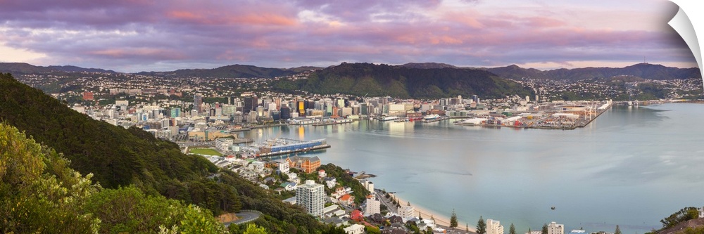Elevated view over central Wellington illuminated at sunrise, Wellington, North Island, New Zealand