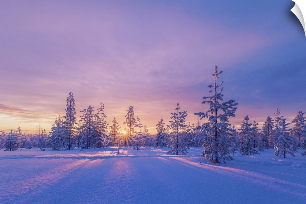 Europe, Lapland, Finland, sunset on the woods in Rovaniemi area. Lapland, Western Europe, Finland.