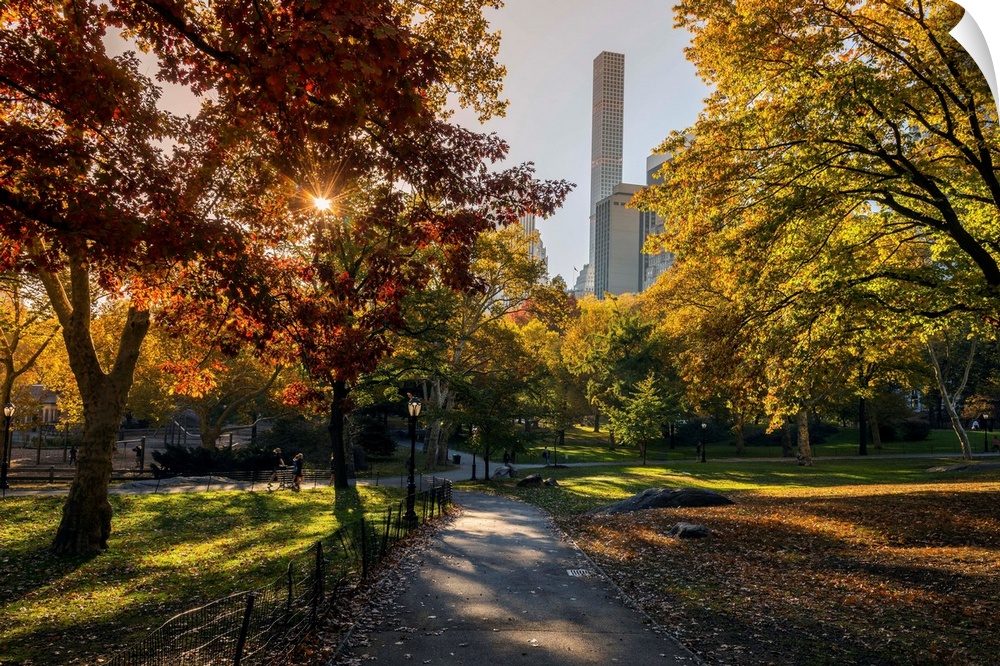 Fall foliage at Central Park, Manhattan, New York, USA.