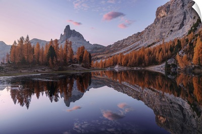 Federa Lake In Autumn Surrounded By Larches At Sunrise, Dolomites, Italy