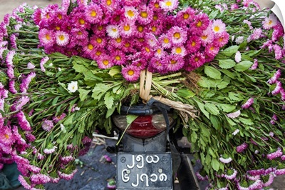 Flowers on back of motorcycle, market, Mandalay, Myanmar (Burma)