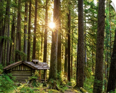 Forest Cabin, Sol Duc, Olympic National Park, Washington, Usa