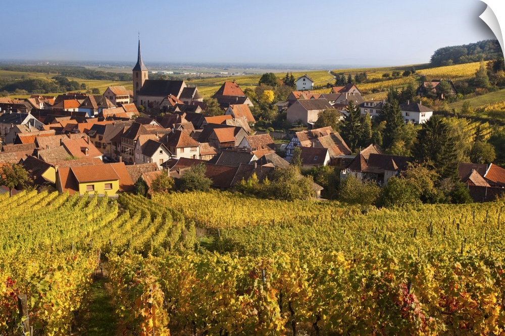 France, Bas-Rhin, Alsace Region, Alasatian Wine Route, Blienschwiller, town overview from vineyards, autumn