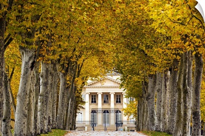 France, Gironde Department, Haute-Medoc Area, Margaux, Chateaux Margaux estate