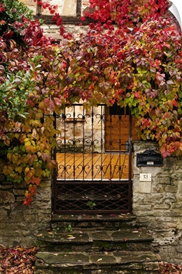 France, Midi-Pyrenees Region, Tarn Department, gate with autumn foliage