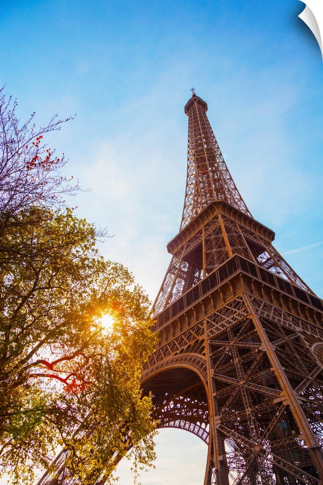 France, Paris, Eiffel Tower, sun behind tree.