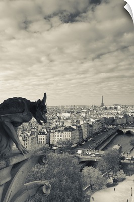 France, Paris, view from the Cathedrale Notre Dame cathedral with gargoyles
