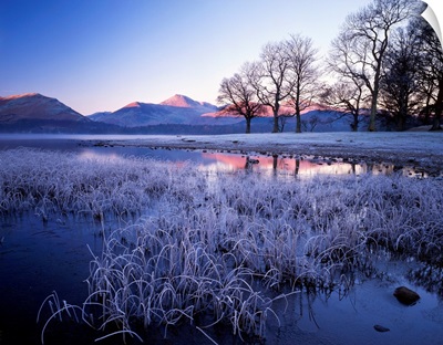 Frost On Derwent Water, Lake District National Park, Cumbria, England