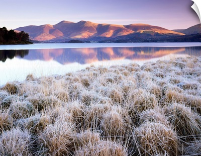 Frosted Grasses And Skiddaw Reflecting In Derwent Water, Cumbria, England