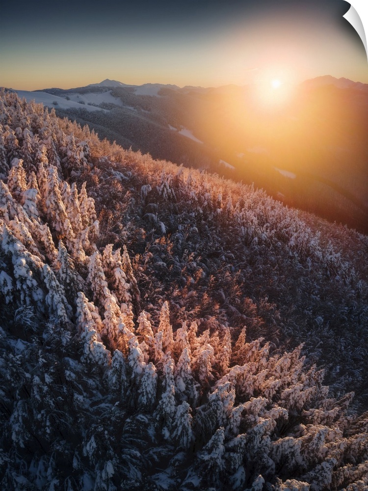 Frozen forests of the Appennines near Passo delle Radici, Appennino Tosco Emiliano, Tuscany, Italy.