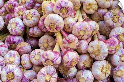 Garlic Bulbs, Farmer's Market, Place De La Liberte, Sarlat-La-Caneda, Aquitaine, France