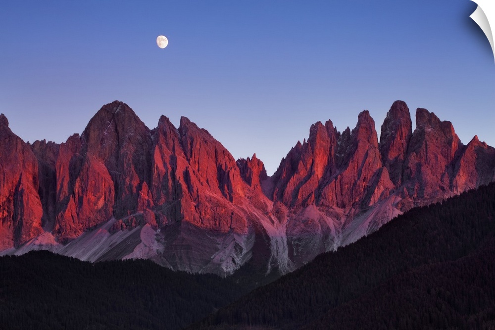 Geisler Peaks with full moon. Italy, Trentino-Alto Adige, South Tyrol, Puez-Geisler Nature Park, St. Magdalena. Alps, Dolo...