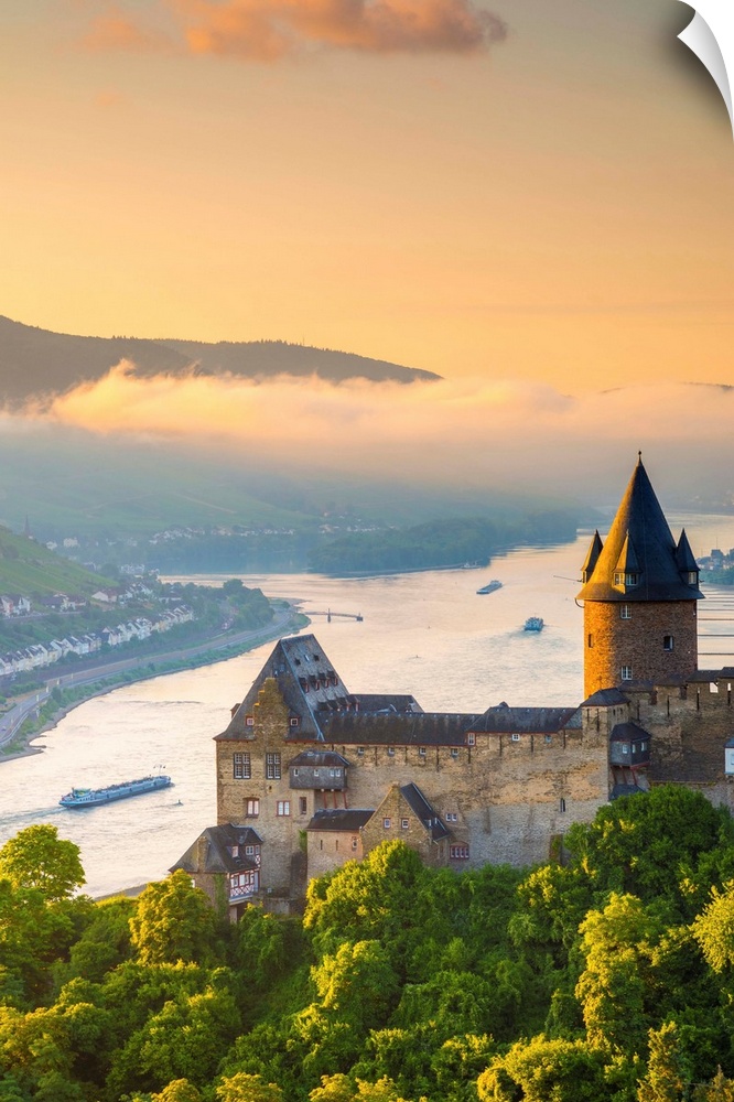 Germany, Rhineland Palatinate, Bacharach, Burg Stahleck (Stahleck Castle), River Rhine.