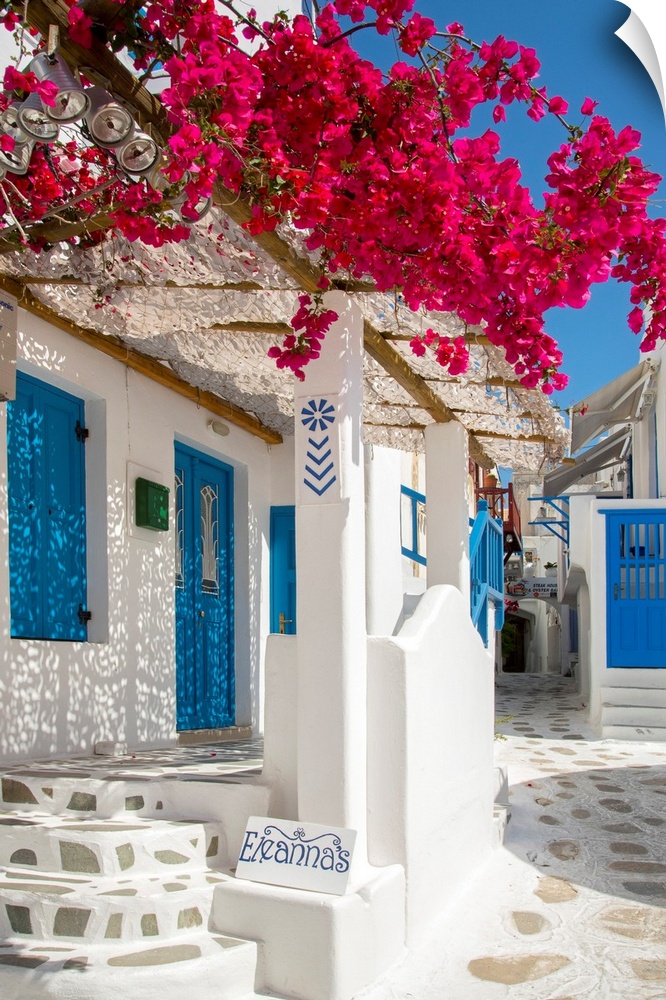 Europe, Greece, Cyklades, Mykonos, part of the Cyclades island group in the Aegean Sea, street in Myconos town.