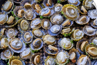 Grilled Limpets With Garlic, A Delicacy, Moledo Do Minho, Portugal