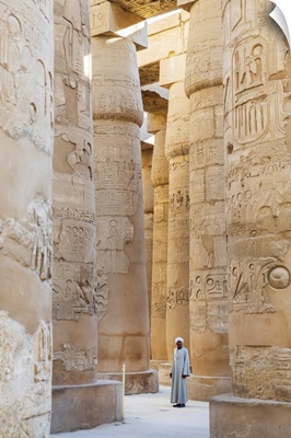 Guardian At The Karnak Temple, Luxor, Egypt, Africa