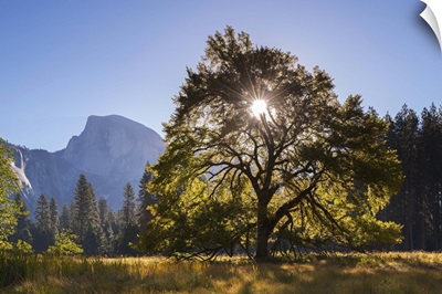 Half Dome, Yosemite Valley, California