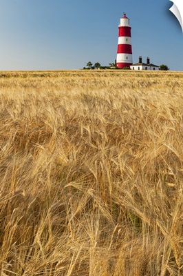 Happisburgh Lighthouse And Field Of Wheat, Norfolk, England
