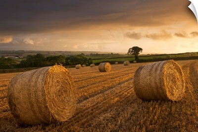 Hay Bales in a ploughed field at sunset, Eastington, Devon, England