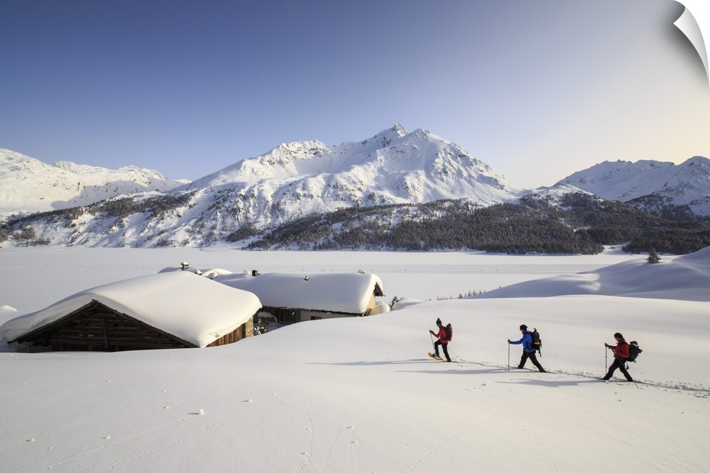 Hikers on snowshoes, Spluga, Maloja Pass. Engadine. Switzerland. Europe.
