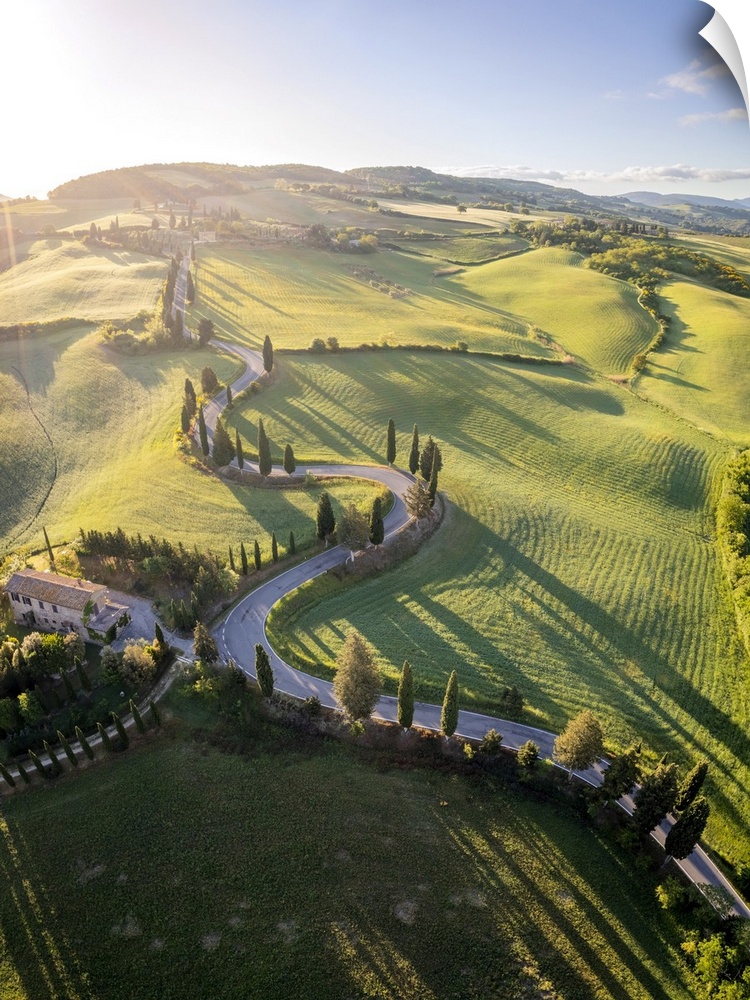 iconic cypresses road of Monticchiello at sunrise. Pienza, Orcia Valley, Siena district, Tuscany, Italy.