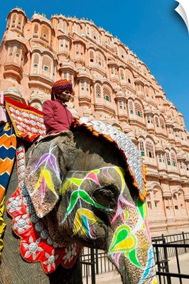India, Rajasthan, Ceremonial decorated Elephant, Palace of the Winds